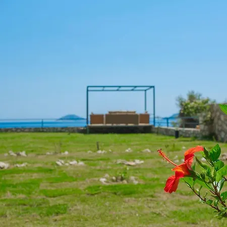 Denize Sifir Ozel Plajli Villa *